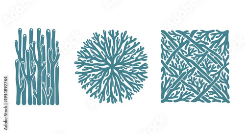 Three blue coral silhouettes forming decorative underwater patterns.