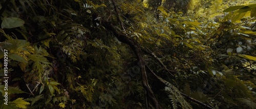 A narrow, secluded jungle trail winding through a dense tropical rainforest, featuring thick foliage, hanging vines, and wild ferns under a canopy of green trees.
