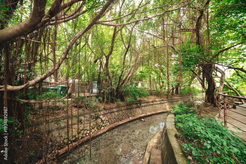 A brook of Beitou literary Trail in Taipei