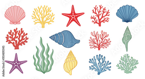 Colorful collection of seashells, corals, starfish and marine life on a white background.
