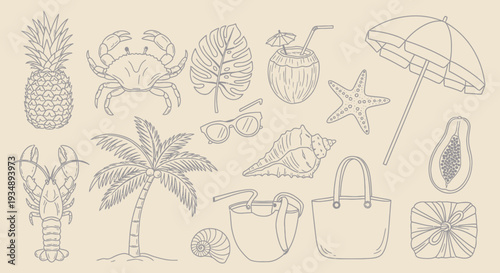 A Collection of Beach and Tropical Motifs Doodles Featuring Pineapple, Crabs, Shells, Palms, and Travel Accessories.