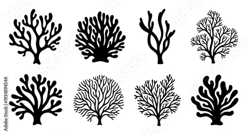 Collection of black coral silhouettes with branching shapes.