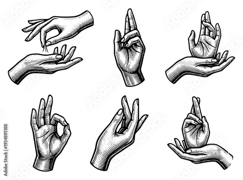 Elegant collection of hand-drawn gestures in a vintage woodcut style. Detailed black and white ink illustrations of hands showing symbolic mudras, spiritual signs, and expressive poses.
