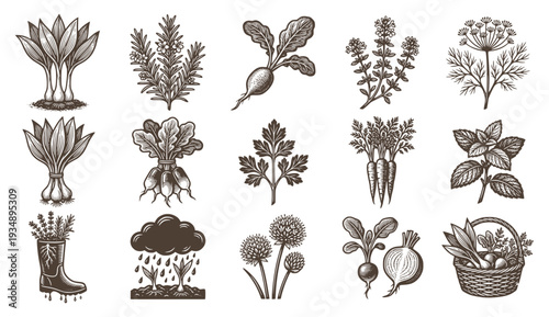 Vintage hand-drawn engraving style gardening and vegetable icons featuring radishes, carrots, herbs, and garden tools. Organic farm-to-table botanical illustrations for rustic design.