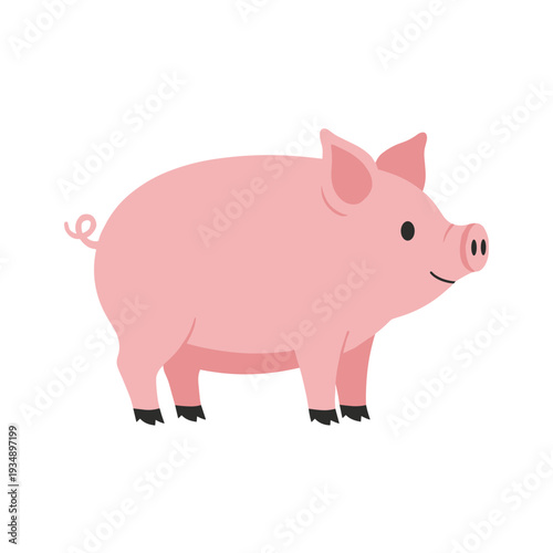 Cute pink farm pig illustration standing and smiling with curly tail and black hooves isolated on white background for livestock and agriculture themes