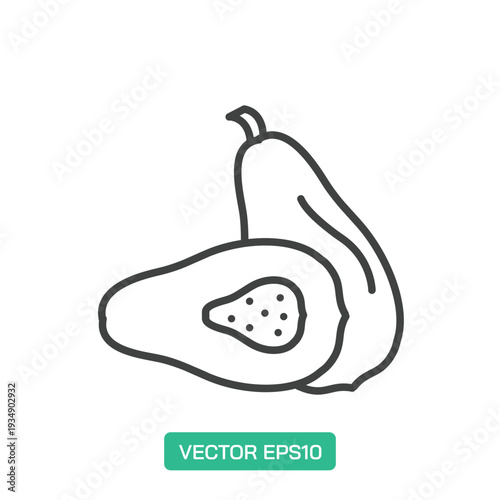 Papaya icon. Thin line icon vector