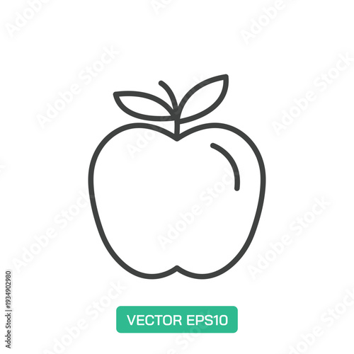 Apple icon. Thin line icon vector