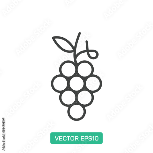 Grapes icon. Thin line icon vector