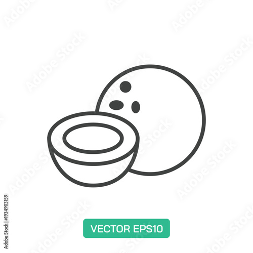 Coconut icon. Thin line icon vector
