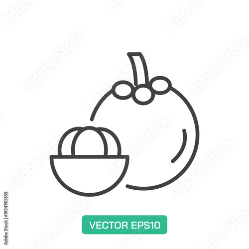Mangosteen icon. Thin line icon vector