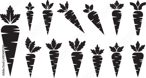 Black Carrot Silhouettes on White Background Illustration Set