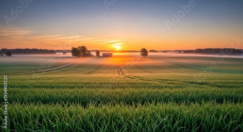 Sunrise over misty farmland field with dew drops on grass