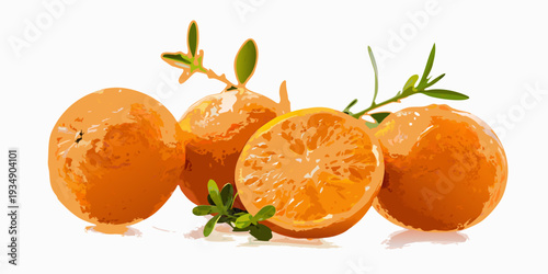 A vibrant illustration of fresh oranges and a cut orange segment
