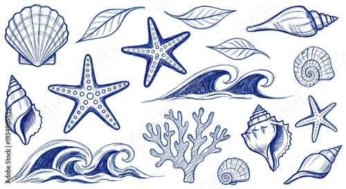 Oceanic Life and Waves Hand Drawn Collection.