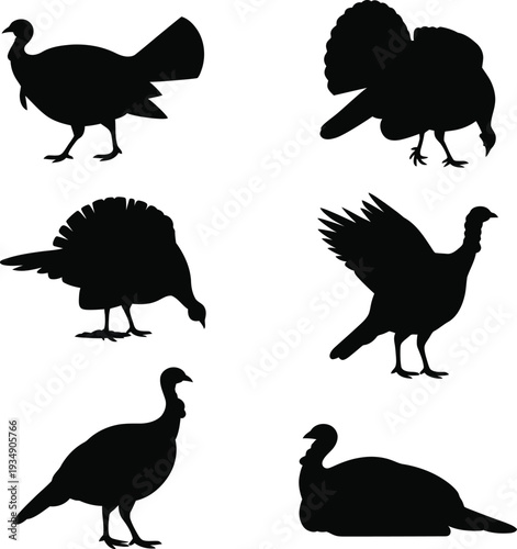 Black silhouettes of turkeys in various poses on white background