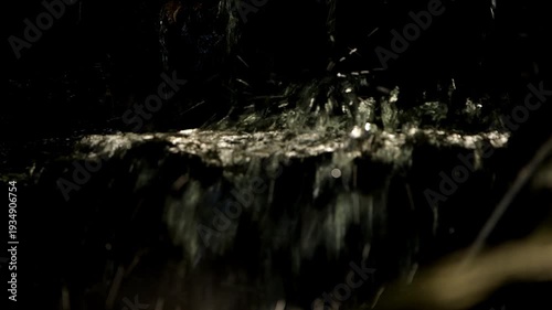 Running water in a creek at Mount Coot-tha in Brisbane.