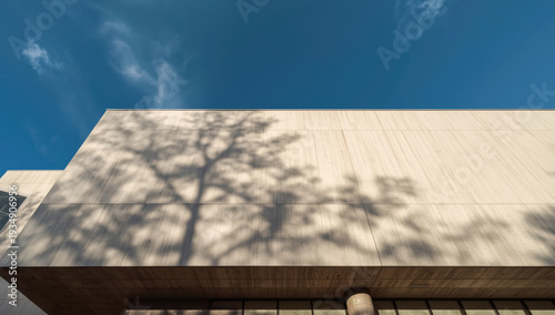 Modern concrete facade with tree shadow against blue sky, serene architectural composition
