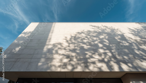 Modern building facade with tree shadow and blue sky, calm architectural composition