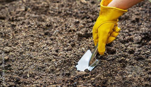 Close-up of a hand wearing a yellow leather glove digging soil with a metal trowel in a garden
