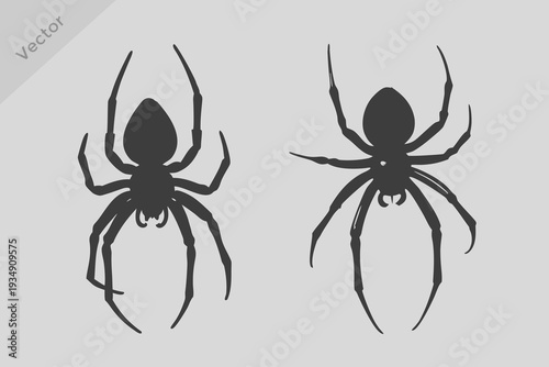 black spider silhouette illustration. Spider Halloween Decoration Creepy Crawly Arachnid vector.