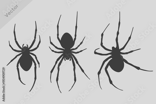 Realistic spider silhouettes vector illustration. Spider silhouette collection, black vector arachnid icons set, scary tarantula and black widow symbols