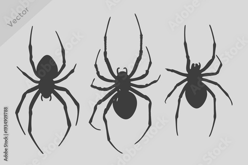 Realistic spider silhouettes vector illustration. Spider silhouette collection, black vector arachnid icons set, scary tarantula and black widow symbols