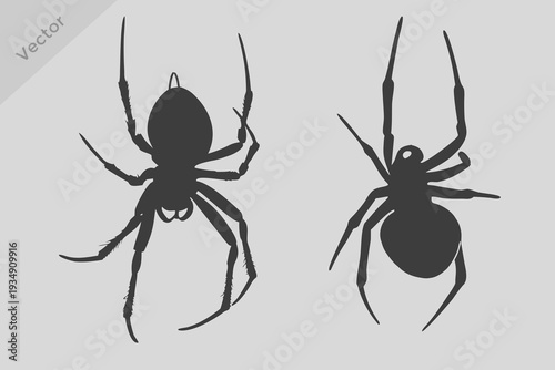 Spider silhouette collection illustration. Spider Halloween Decoration Creepy Crawly Arachnid vector.
