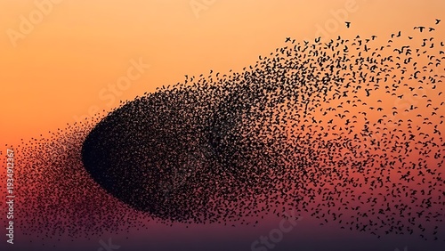 overfed. A murmuration of starlings transitioning from a dense cloud to scattered birds against a dusk sky. wildlife magazines, conservation campaigns, designed for eco-tourism storytelling.