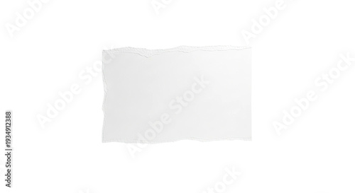 Wallpaper Mural Torn Paper Edge on White Background Torontodigital.ca