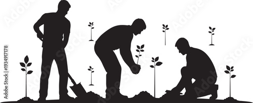 Three people working together to plant young trees and seedlings in the ground, representing nature conservation, gardening, and environmental sustainability.