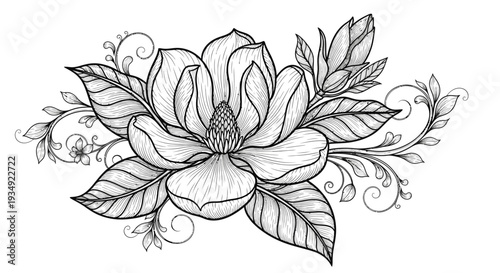 Elegant magnolia floral design with leaves and decorative elements