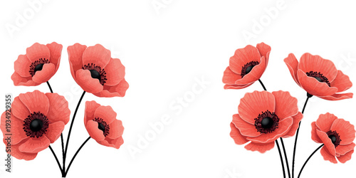 Warm-toned digital watercolor poppies bloom vibrantly on a white background, offering a delicate floral illustration for elegant spring and remembrance designs