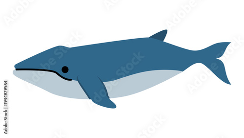 シンプルでかわいいクジラのイラスト　海の生き物のベクター素材