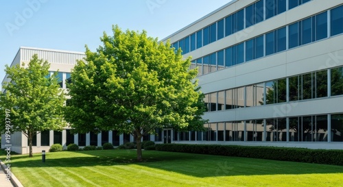 Modern office building with glass windows and a lush green lawn and trees on a sunny day