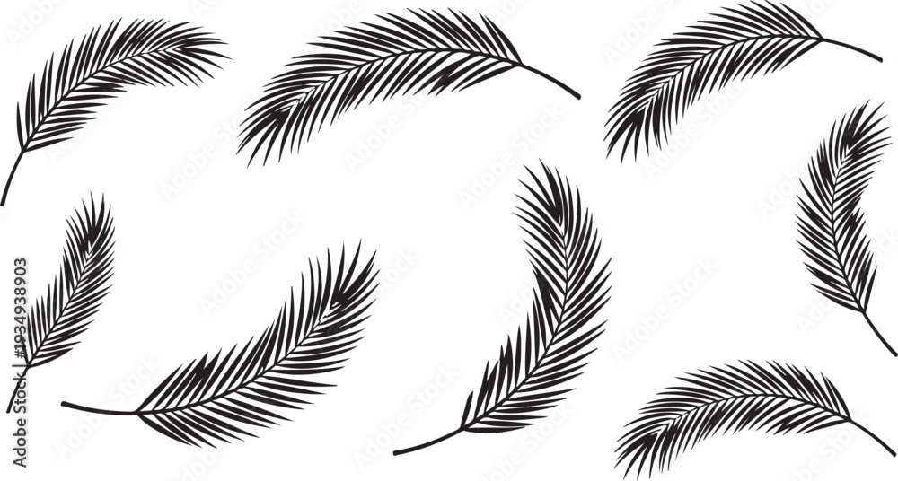 Obraz premium Black and white feathers floating in the air gently
