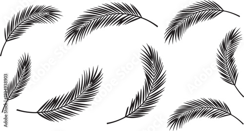 Black and white feathers floating in the air gently