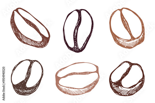 Set of hand drawn fresh roasted coffee bean Arabica robusta seed doodle Single element for design print packaging label decor