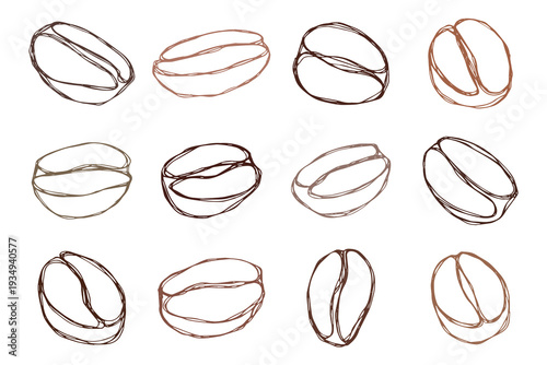 Set of hand drawn fresh roasted coffee bean Arabica robusta seed doodle Single element for design print packaging label decor