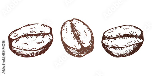 Set of hand drawn fresh roasted coffee bean Arabica robusta seed doodle Single element for design print packaging label decor