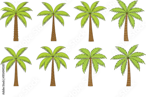 Vector Illustration Set Of Various Tropical Palm Tree Species Featuring Different Trunk Textures And Leaf Structures In Sketched Flat Style For Summer Travel Landscaping And Exotic Beach Concepts