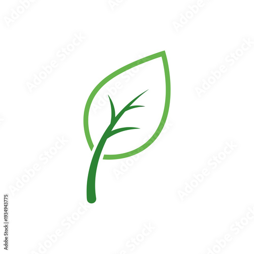 Green leaf vector illustration isolated on white background for design element