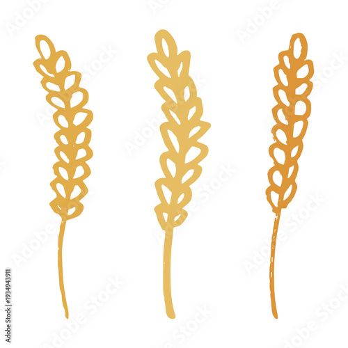 Set of hand drawn cereal wheat oat rye barley rice ears spikelet clipart Organic wheat bread agriculture farming harvest healthy food Single element for design print packaging label decor