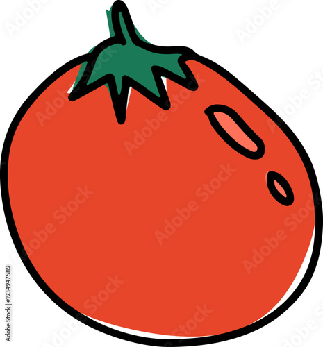 Tomato Illustration