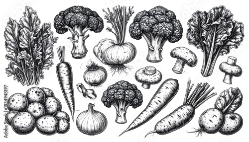 Historical illustration of various vegetables and root crops from a bygone era isolated on transparent background