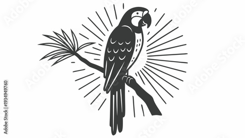 Detailed macaw bird illustration sits on a palm frond branch with light rays.