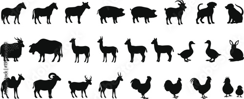 Farm, Animal, Silhouette, Vector, Icon, Set, Livestock, Horse, Pig, Cow, Goat, Dog, Sheep, Alpaca, Duck, Rabbit, Camel, Rooster, Collection