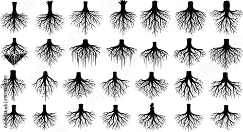 Black Tree Root Silhouette Collection, Minimalist Underground Root System Vector Set,
