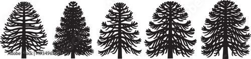Black Solid Monkey Puzzle Tree Silhouettes Set of Six on White Background