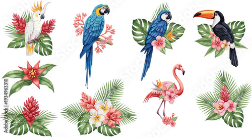 Tropical bird illustration, exotic parrot artwork, colorful toucan design, pink flamingo vector, cockatoo with flowers, tropical leaves, hibiscus, plumeria, nature wildlife graphic