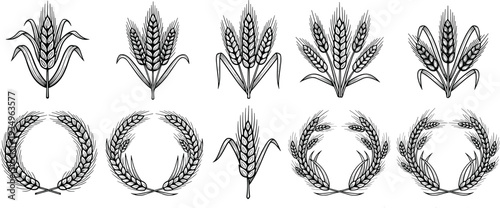 Wheat stalks collection, diverse tree silhouettes, meadow grass set, family life activities, cute baby girl illustrations, and colorful Islamic mosque icons.